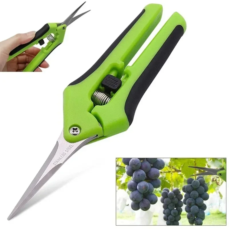 6.5 Inch Gardening Scissors Hand Pruner Pruning Shears Trimming Scissors with Straight Elbow Stainless Steel Blades  Plant