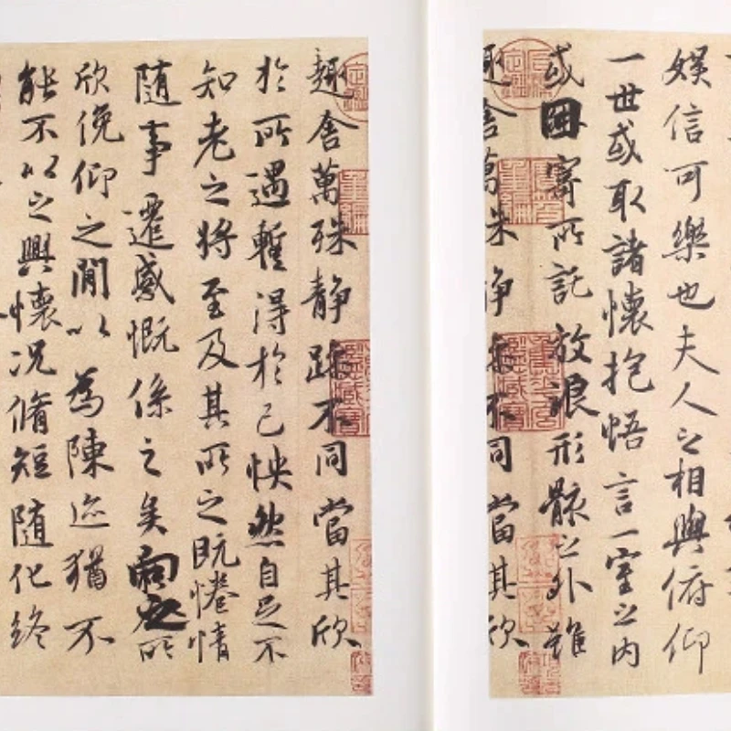 Running Script Calligraphy Copybook of Famous Artists Ancient Stone Inscriptions and Rubbings for Practice and Learning Copybook 4