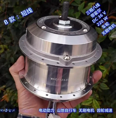 

Electric assist, mountain bike, brushless wheel motor, one-way clutch, gear reduction