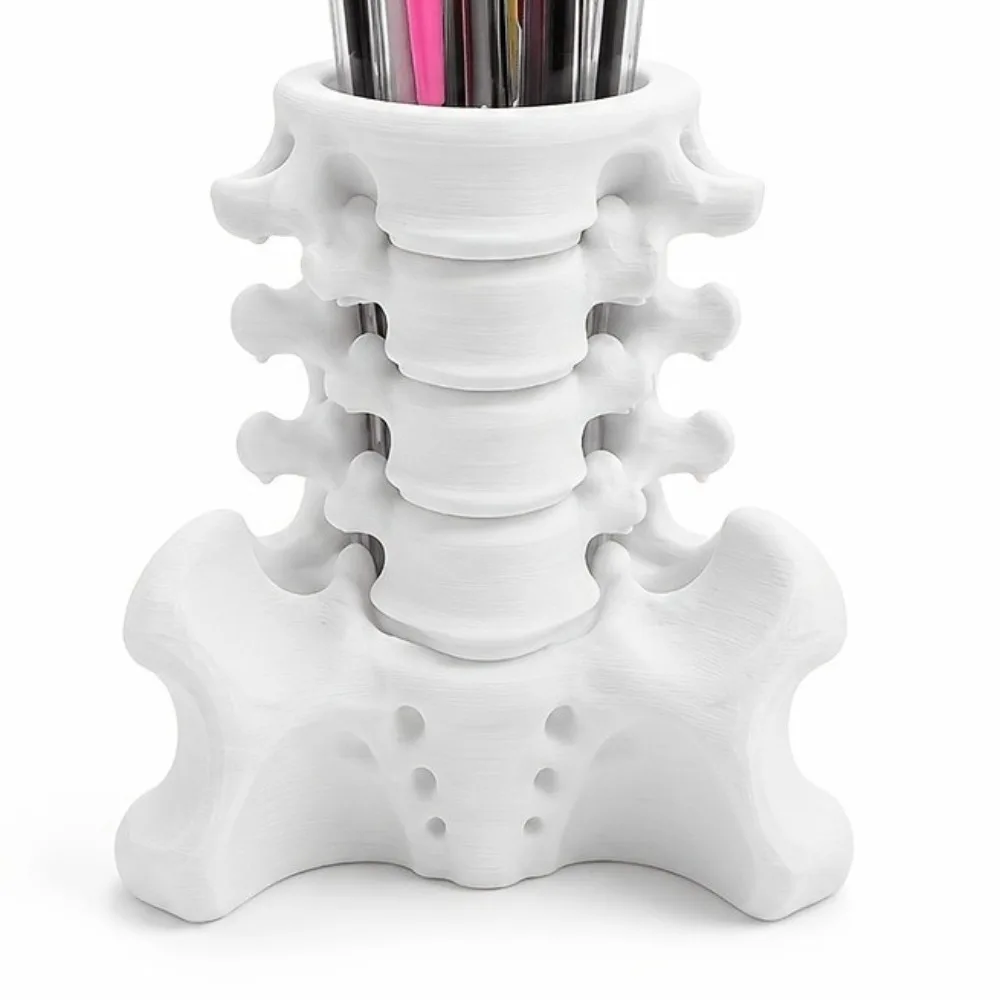 Fun 3D Printed Human Spine Pen Holder Spine Shaped Creative Pencil Organizer Sturdy Base Plastic Desk Pen Holder School Use