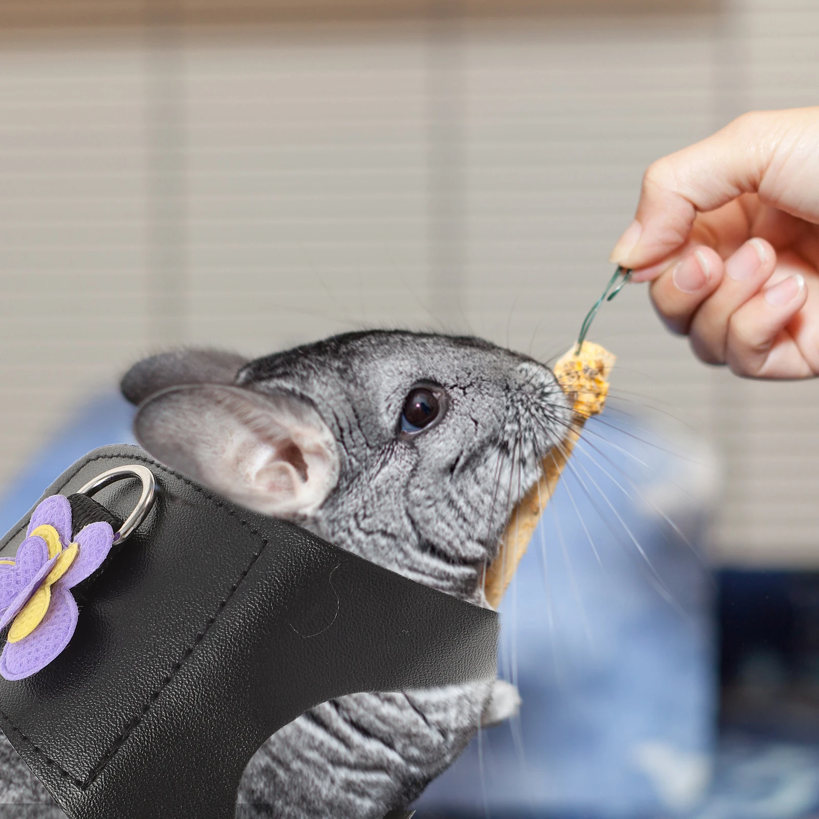 

2 Sets Medium Size Breathable Harness for Hamster Guinea Pig Soft Chest Belt Pet Accessories Small Animal Lightweight Durable