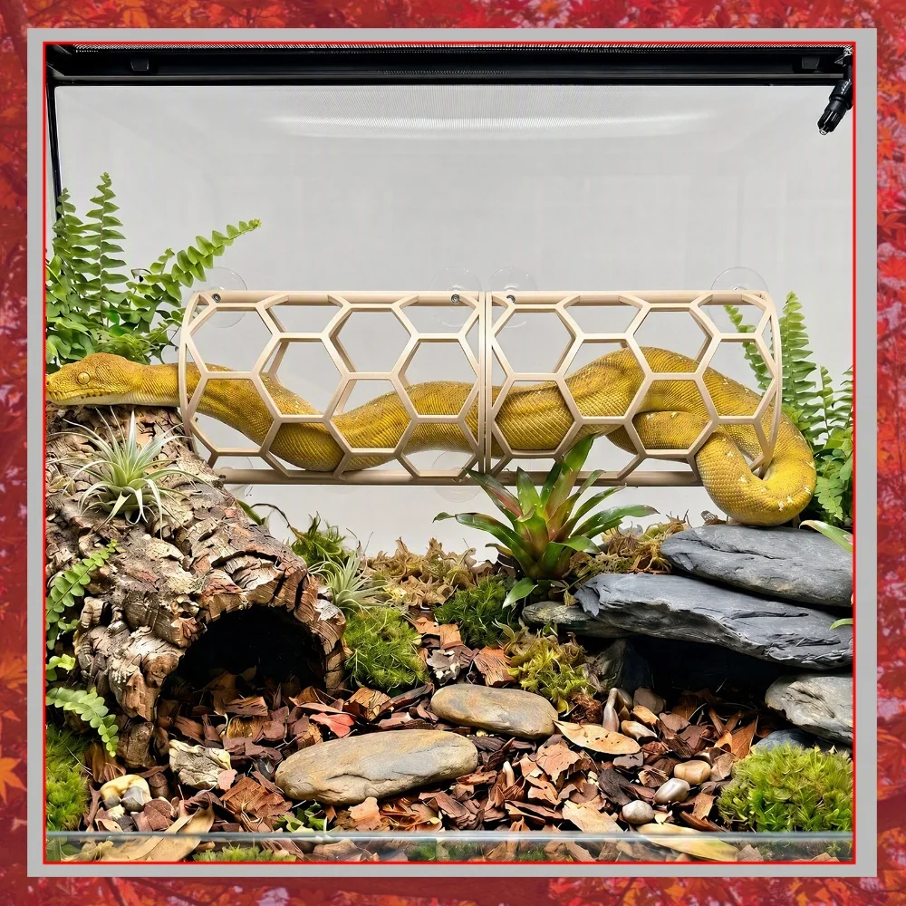 Corn Snake Habitat Honeycomb Climbing Platform Suction Cup Wall Mount Reptile Terrarium Decor Hide