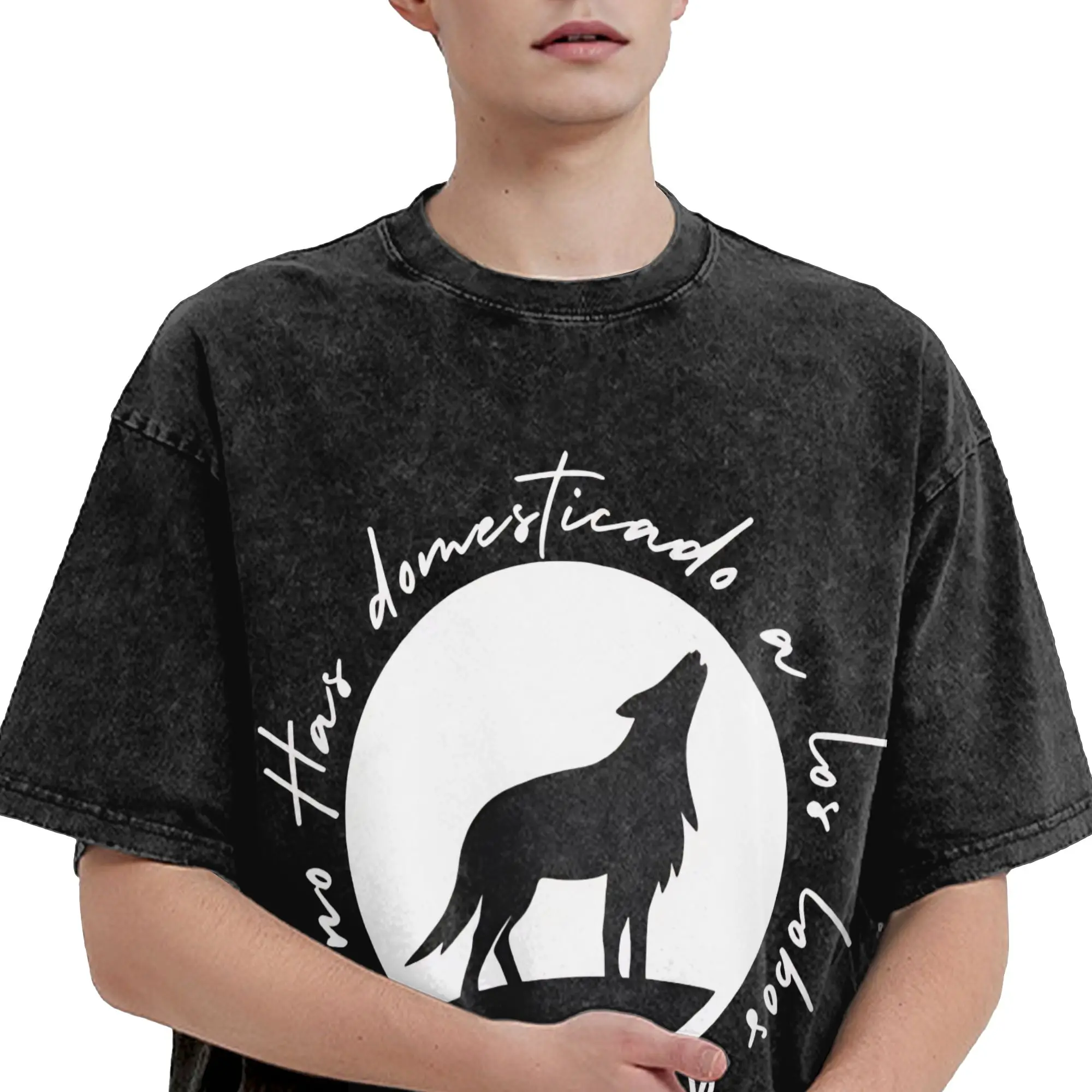 Dani Fernandez spanish  Washed T Shirts Streetwear Hip Hop Casual T-Shirt  Tees for Men Women Short Sleeve Oversize