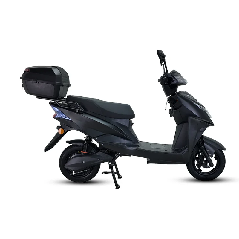 Popular Professional Customization 1000W 45km/h Electric Bicycle  Electric Motorcycle image 6