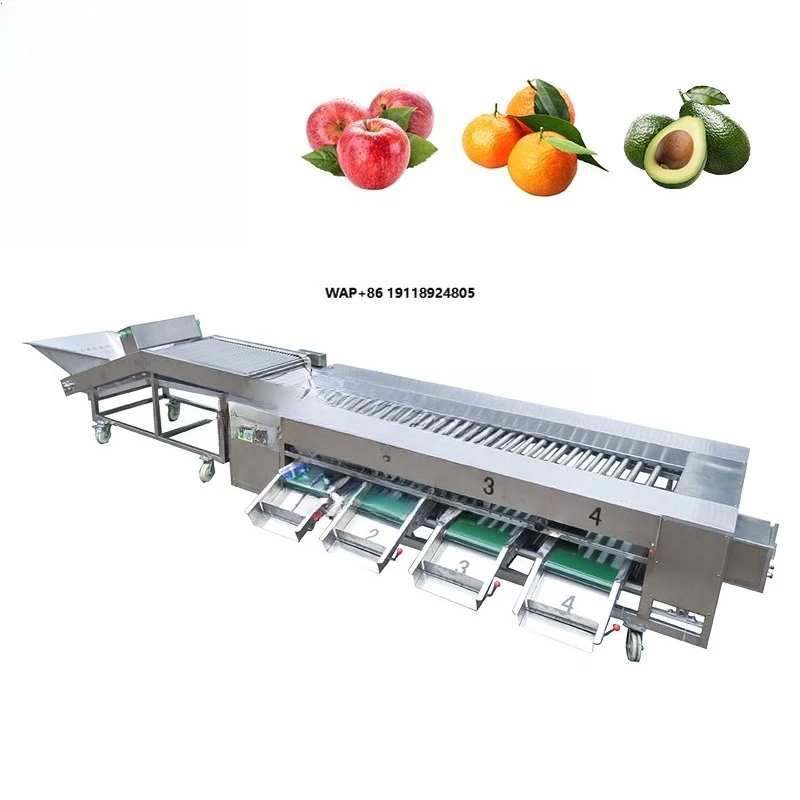 Automatic Lemons  Grading Machine Orange Tomato Avocados Banana Blueberry Cherry Tomato Sorting Drying Machine Lemons Grader