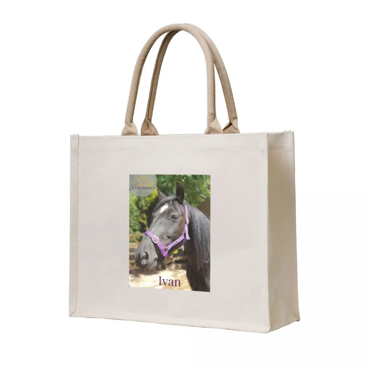 

Ivan's Collection Tote Bag Lady bag Handbags Cloth bag