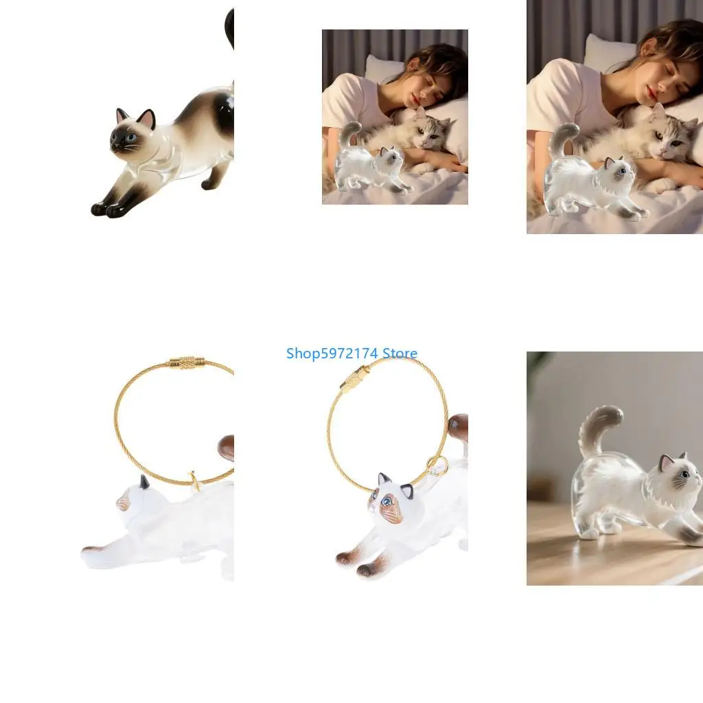 Y3NB Stylish Plastic Clear Cats Furs Storage Box Unique Homes Decors For Showcasing Pet Hair Collection Container Ornament