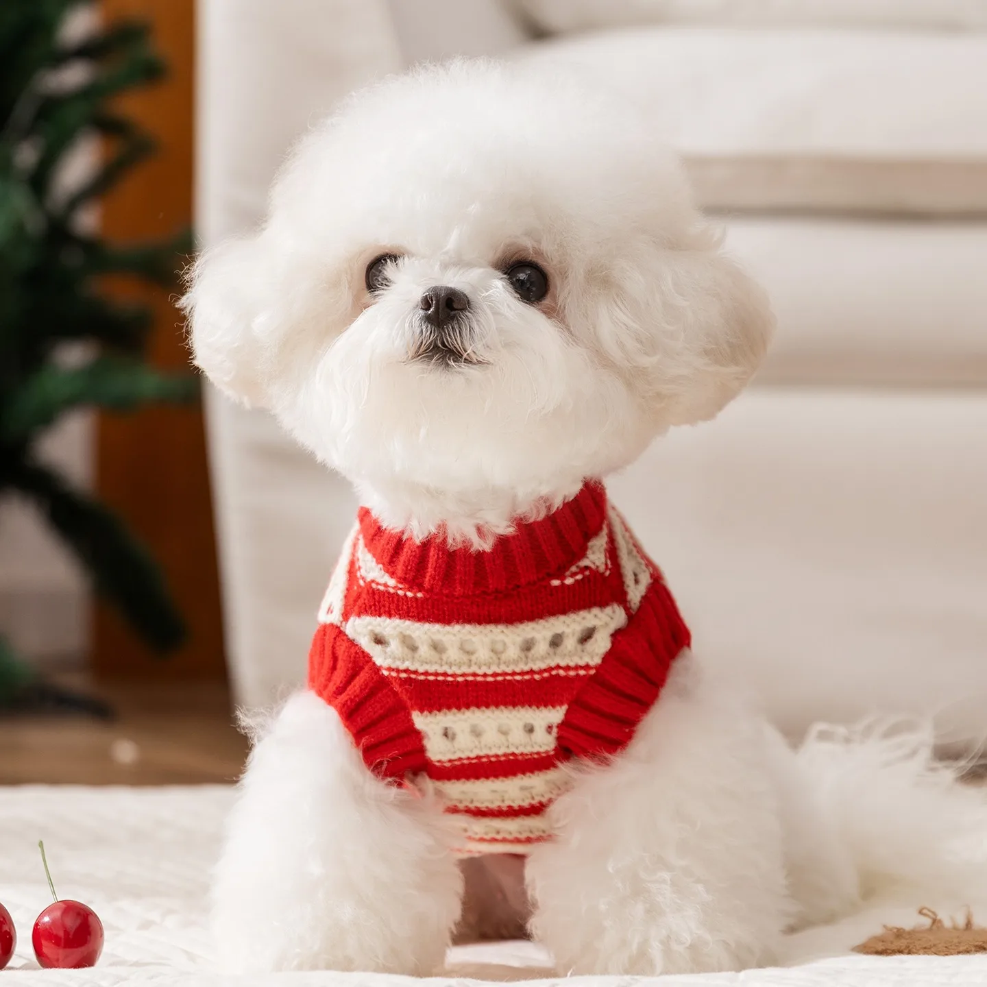 

Sweet Cherry Dog Clothes Small and Medium Dog Warm Sweater Teddy Winter Striped Two-Legged Clothes Maltese Knitted Sweater