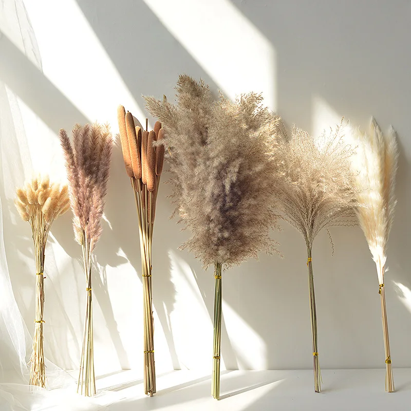 

Fluffy Pampas Grass Decoration Boho Wedding Floral Arrangement Natural Phragmites Dried Flowers Bouquet Home Coffee Table Decor