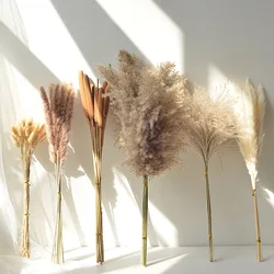 Fluffy Pampas Grass Decoration Boho Wedding Floral Arrangement Natural Phragmites Dried Flowers Bouquet Home Coffee Table Decor