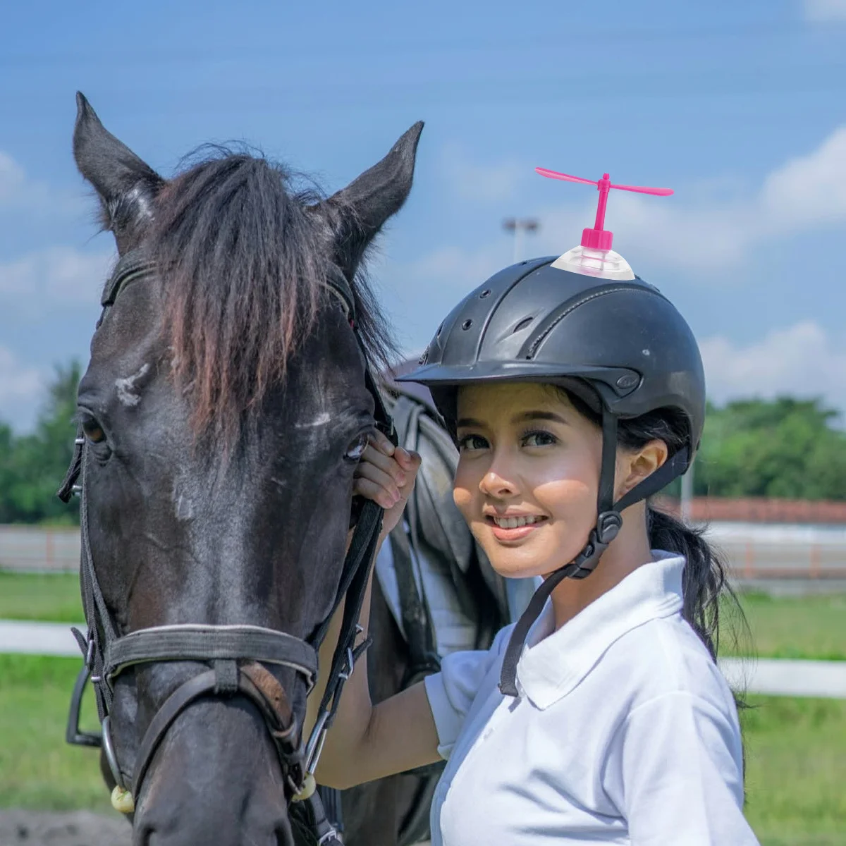 

5Pcs Funny Decor Dragonfly Suction Decor Easy Installation Multiple Color Options Decoration Dragonfly Suction Cup