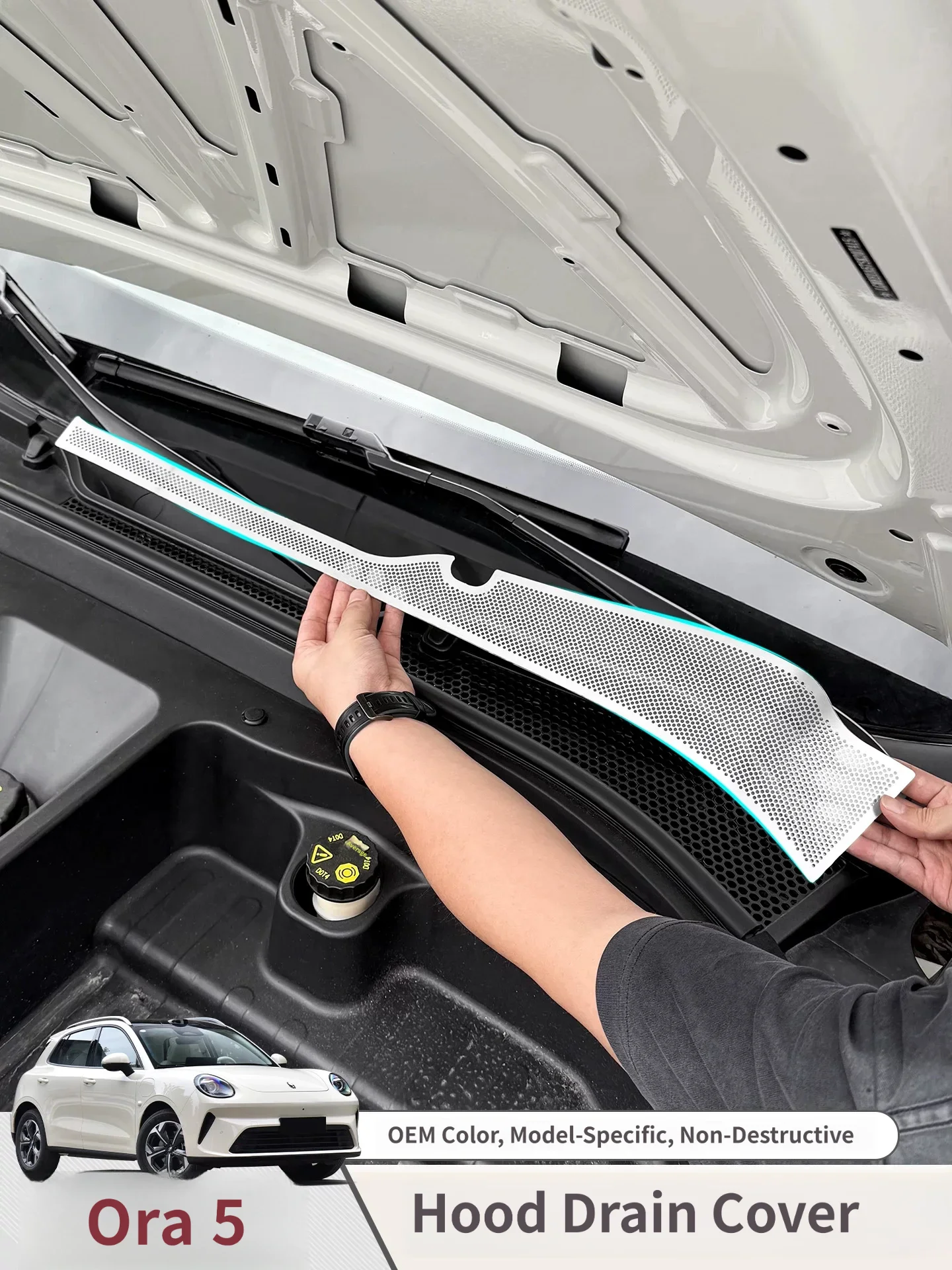 For GWM Ora 5 2025 2026 2027 Stainless Steel Anti blocking Engine Cabin Dust Cover Front Hood Insect Net Accessories