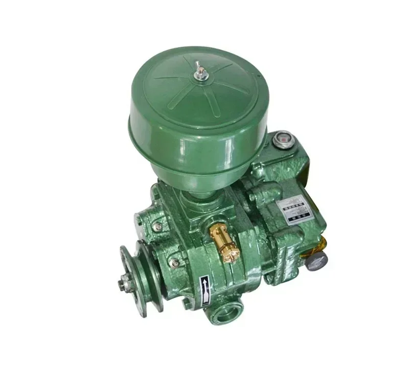 

New High quality cast iron Roots Rotary Lobe Air Blower Vacuum Pump Aquaculture Aeration Aerator Vane Blower Vacuum Pump