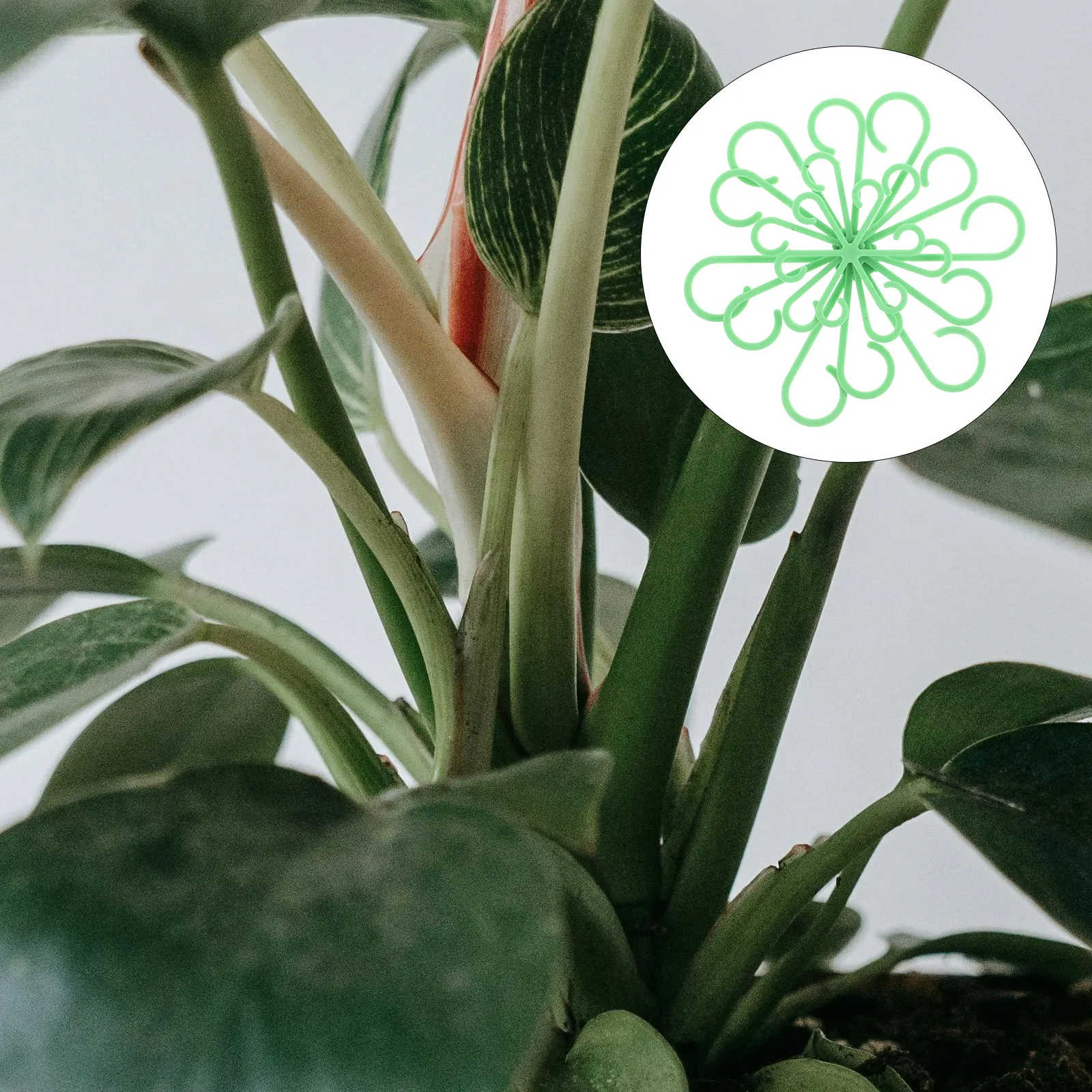 

8pcs Plant Support Frame Reusable Vine Support Rack Green Plastic Holder for Indoor Plants Balcony Office Use Durable Easy