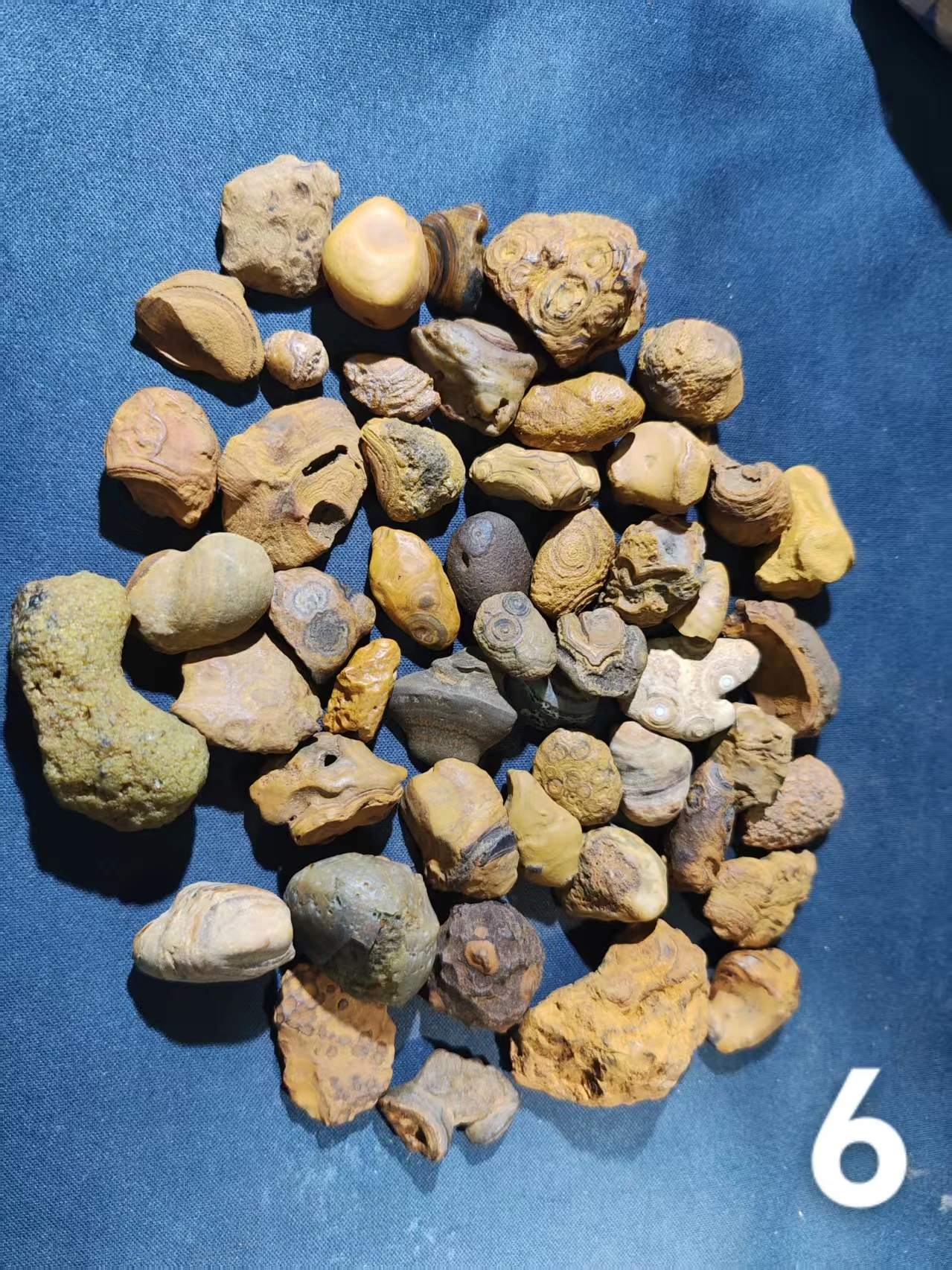 50pcs/lot gtian Bead RaSelected Premium Menw Stone Specimens Beautiful Unique with Eye Patterns Powerful Energy Stones