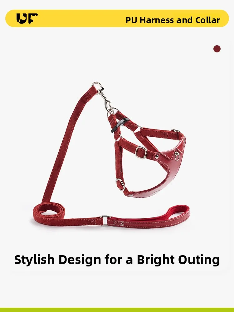 New 2025 Dog Lea Ch…