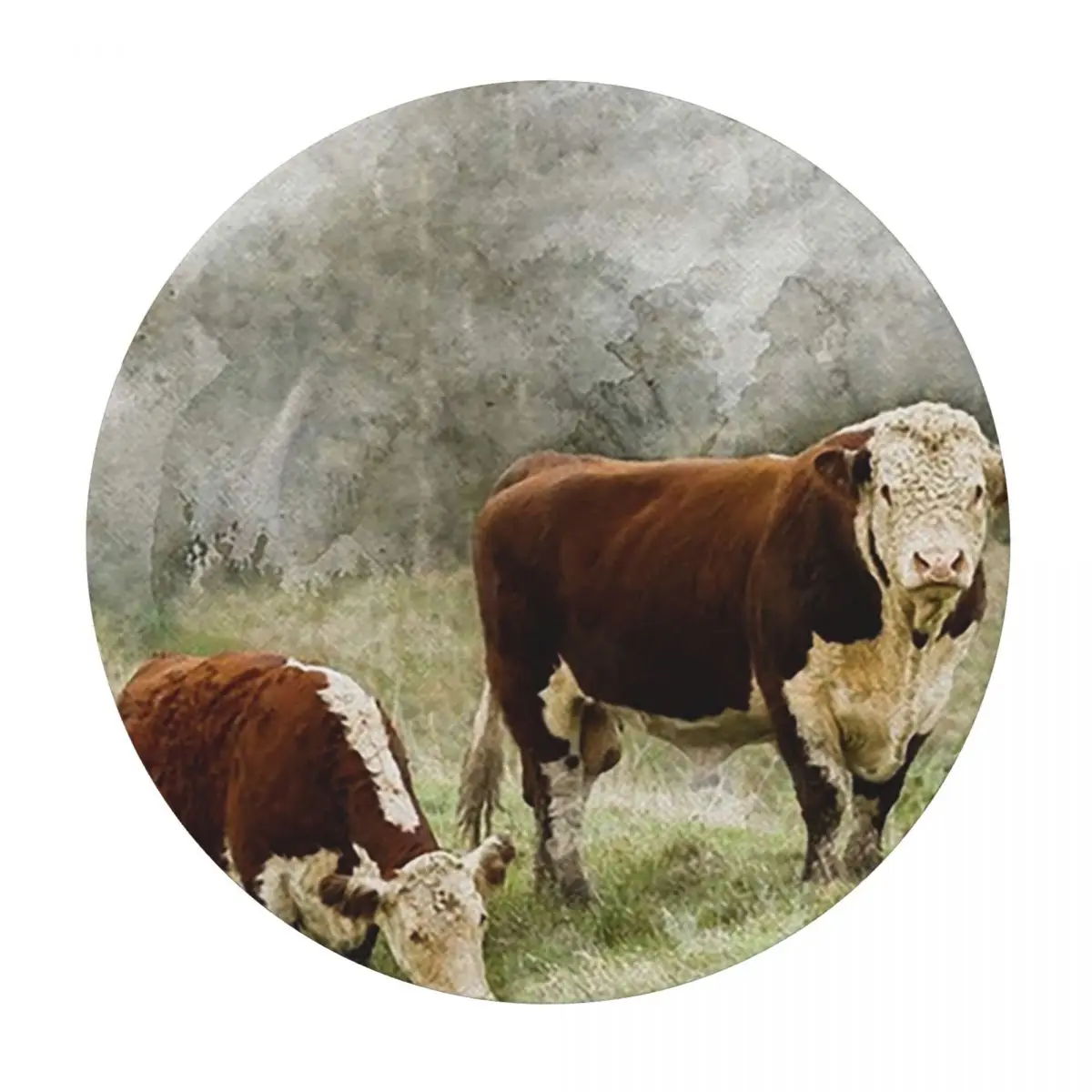 Hereford Bull And Cow Watercolour Photograph Waterproof Round Tablecloth Oilproof Table Cloth Kitchen Events Dining Table Cover