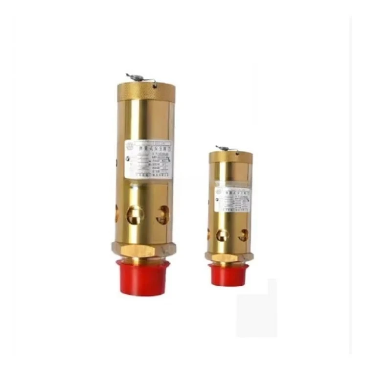 Ship Goods Quickly Industrial Compressor Spare Parts Rotary Compressor Accessories Safety Valve 23100308