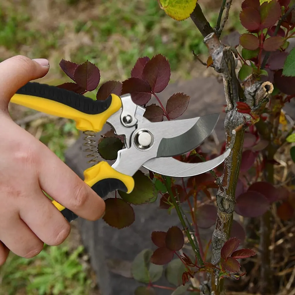 1 ud. Tijeras de podar profesionales afiladas para jardín, podadoras de árboles, tijeras de mano, tijeras de jardín tipo pico