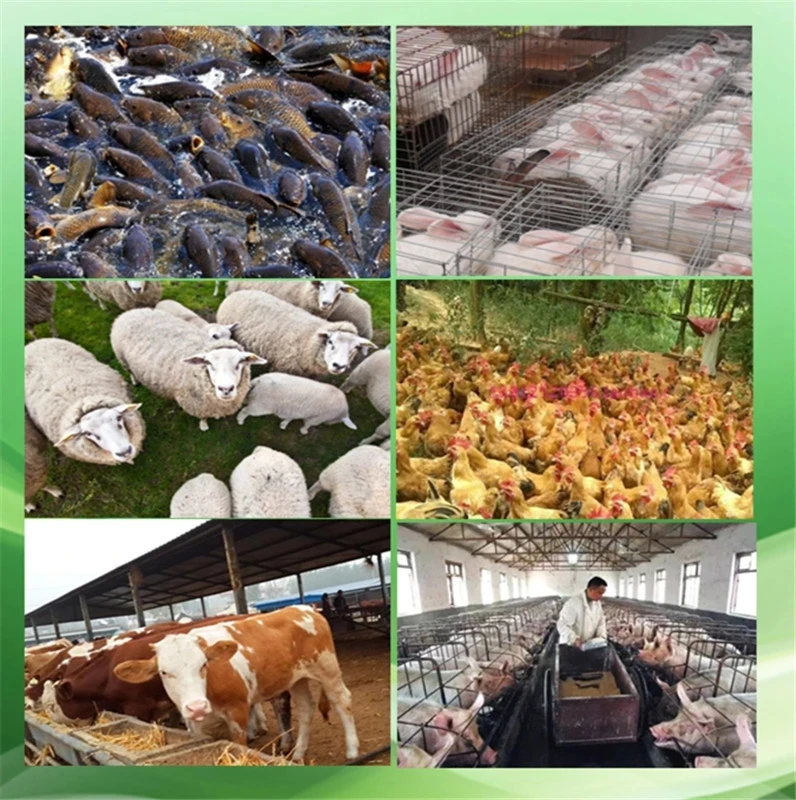 1000kg/h Pellet Mill Multi-function Feed Food Pellet Making Machine Household Animal Feed Granulator KL-300 380V