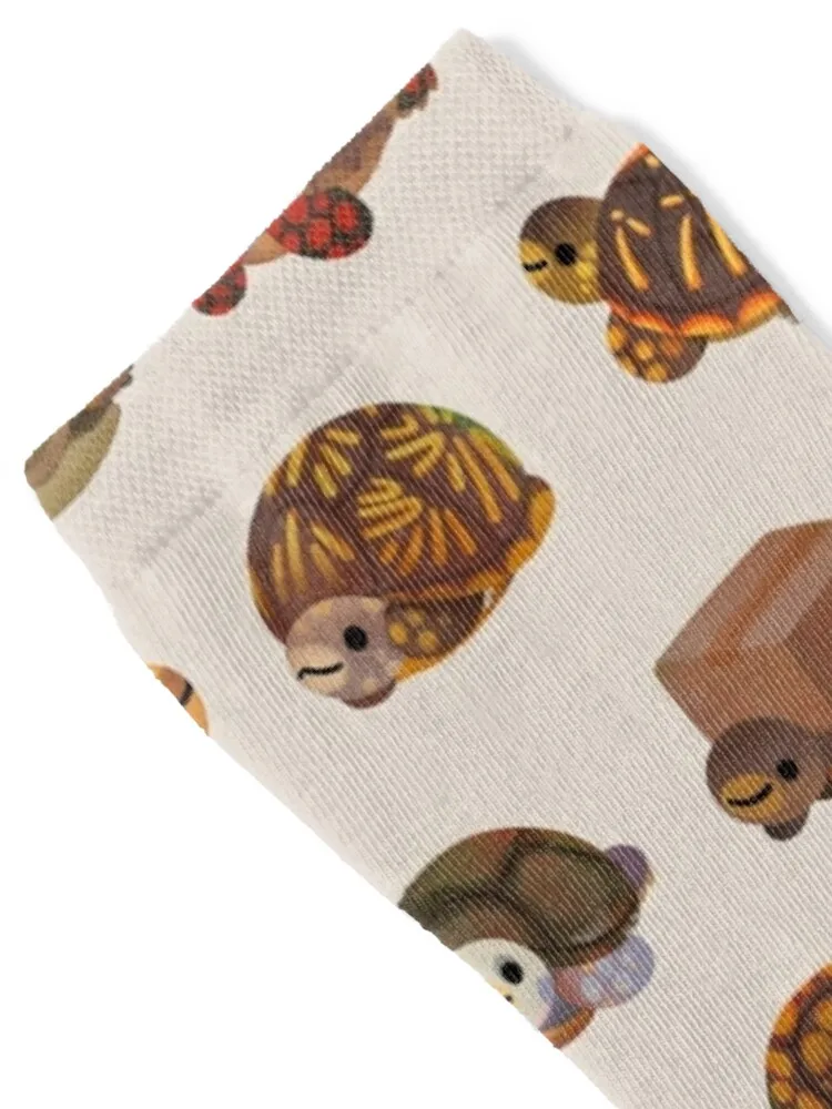 Box turtle Socks tennis anime winter gifts Ladies Socks Men's