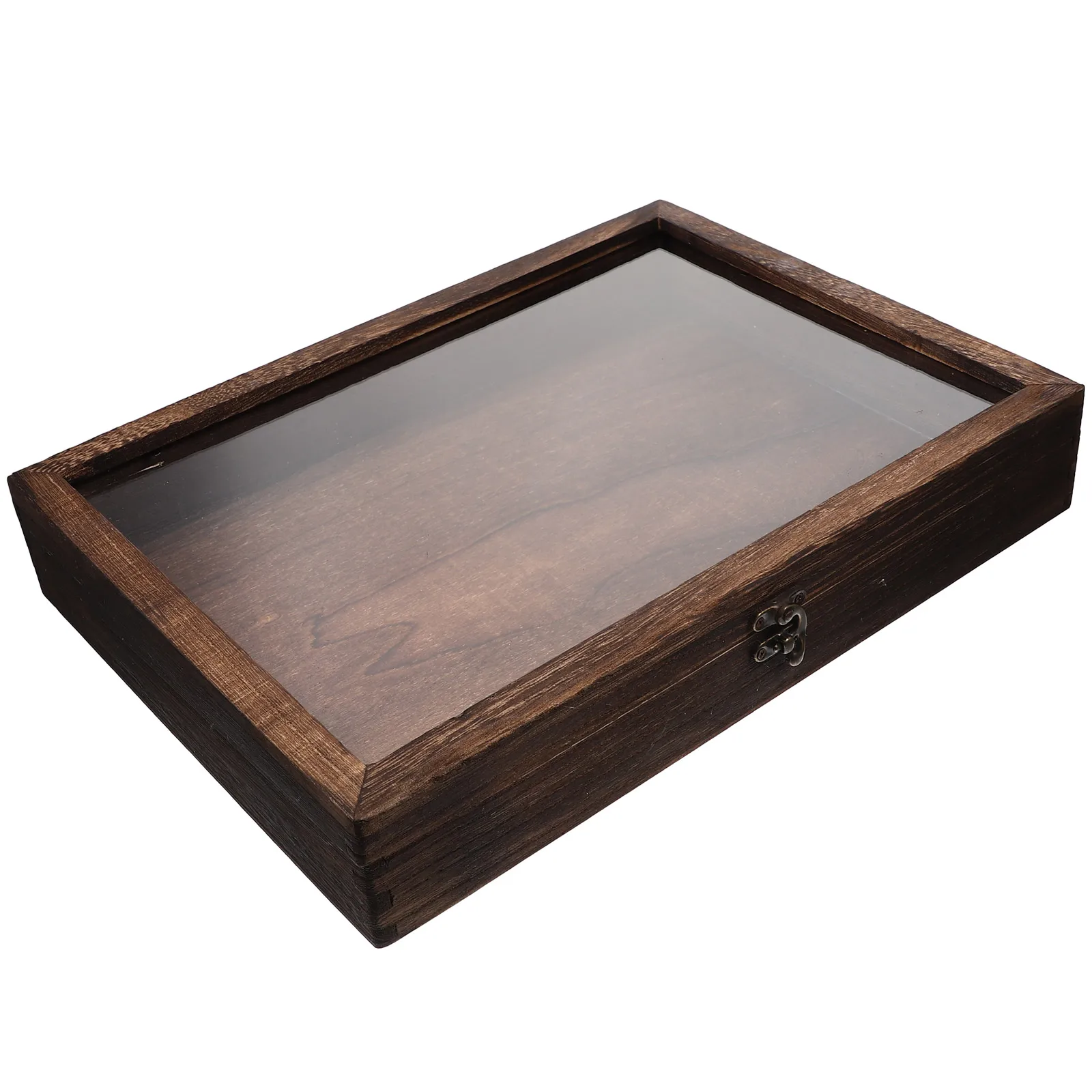 

Specimen Display Butterfly Storage Specimen Wooden Box Case Insect Holder Clear Lid Wood Material Retro A4 Size Frame