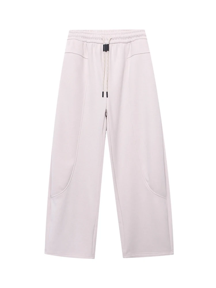 [LANMREM] Drawstring Design Elastic High Waist Pants For Women Straight Wide Leg Trousers Warm Clothes 2024 Winter New 26C1075