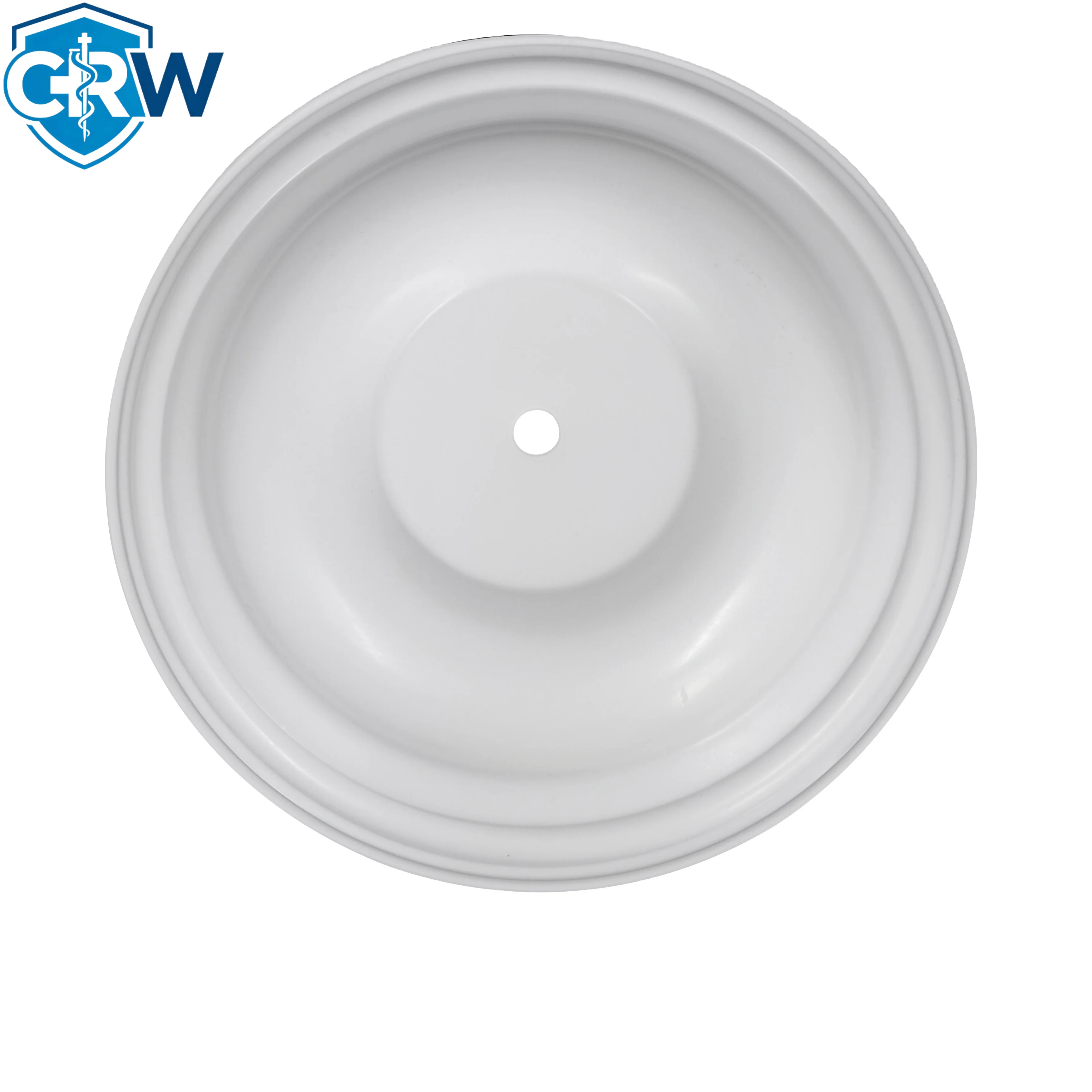 

Molding PTFE Diaphragm V163TF for Versa-matic Pneumatic Diaphragm Pump Customized Industrial Use