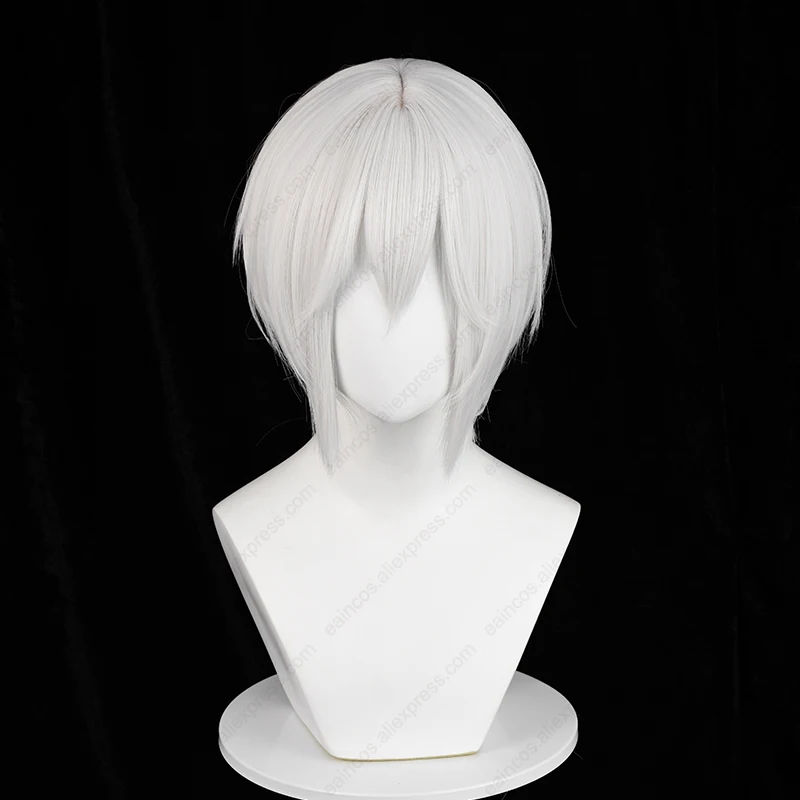 Tomoe-Perruque Cosplay Courte Blanche Argentée, Cheveux Synthétiques, Degré de Chaleur, 30cm