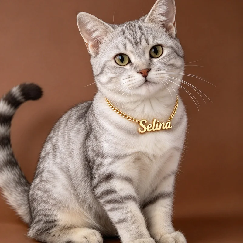 Auxauxme Custom Cat Dog Names Necklace Stainless Steel Personalized Imitation Pearl Chain Nameplate Pendant Collar Pet Jewelry