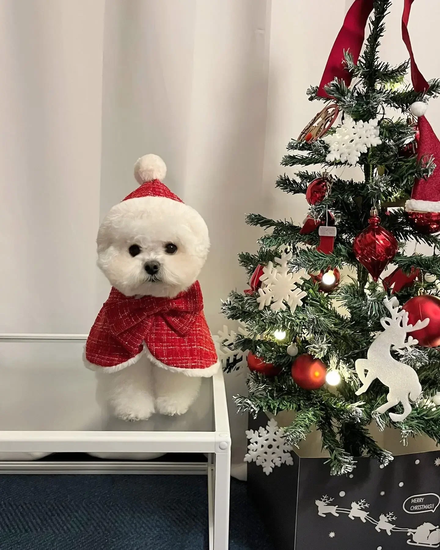 Pet Christmas Hooded Cape Pet Christmas Costume Cloak Funny And Cute Plush Dog Hooded Cloak Of Small Medium Sized Dog For Home