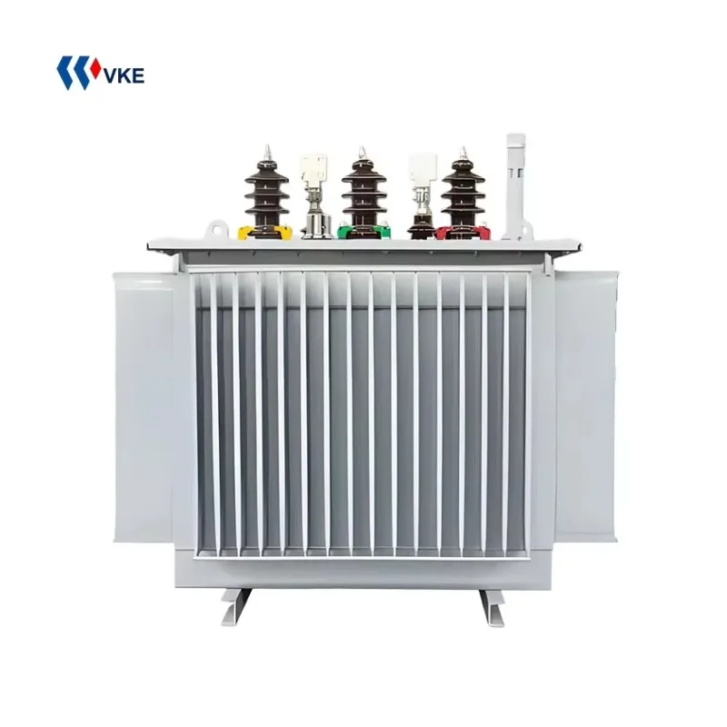 All Copper 315kVA 11kV 10kV to 400V IEC 60076 Three-phase Pole Mounted Oil Immersed Power Transformer