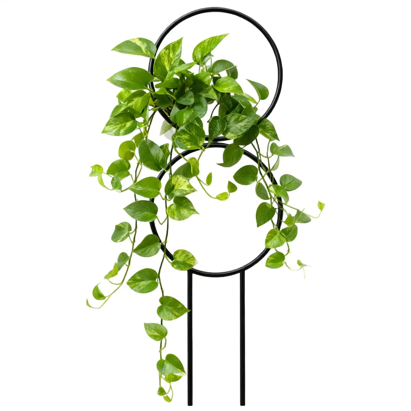 Verstellbarer Pflanzenspalier aus Metall für Innen- und Außenbereich, Topfpflanzen, Gemüse, Blumen, Orchideen, Rosen, Hochzeit, Gartenarbeit