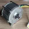 Elektrischer Rasenmähermotor 1