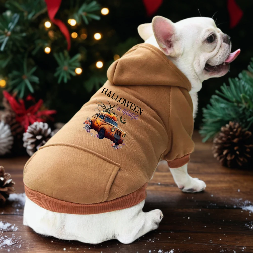 Halloween-Stil Muster Haustier Hund Kleidung Kleine mittelgroße Hund Kapuzenpullover Luxus Designer Kleidung Großhandel Lieferant