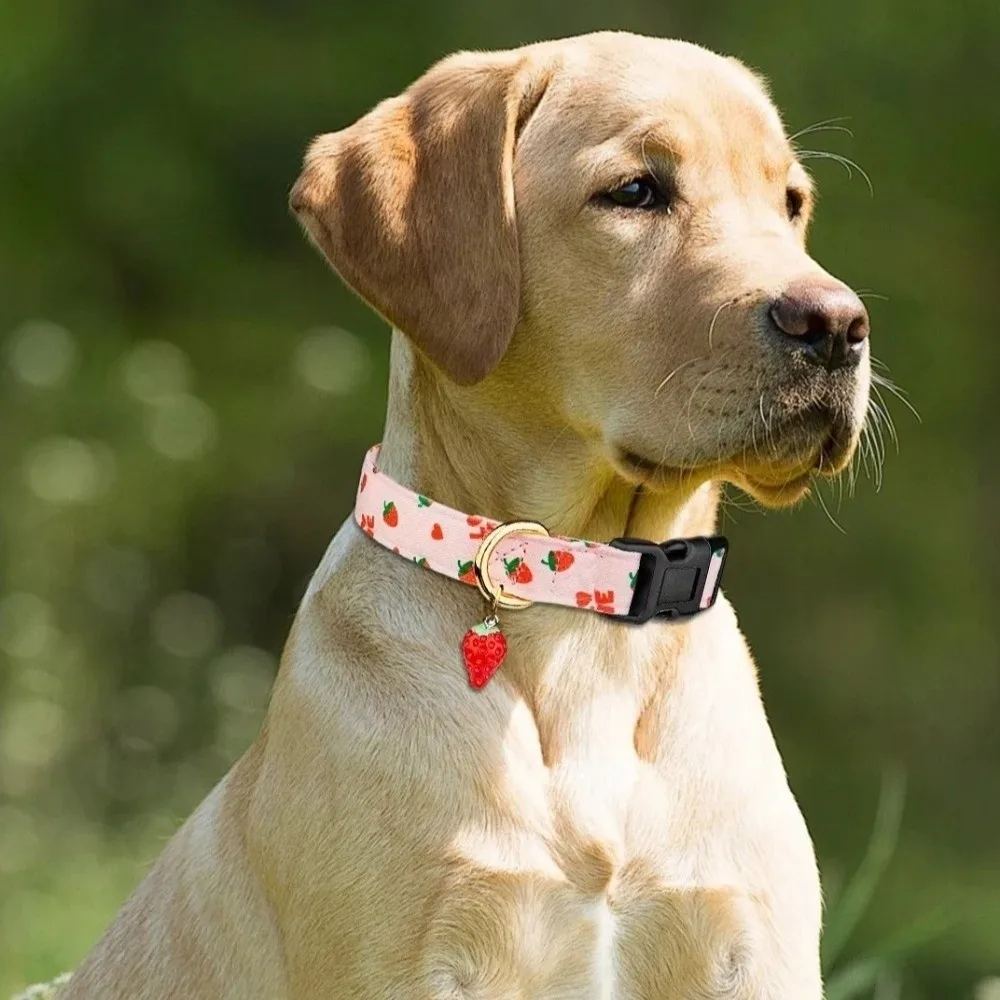 Kalung Anjing Motif Buah Stroberi, Dapat Disesuaikan, Lembut, Bahan Poliester, Nyaman, Untuk Anjing Kecil