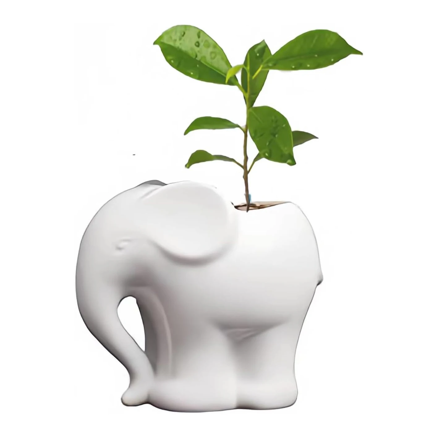 Ceramic Elephant Pencil Holder, Pen Holder, Plant Pot, Bonsai Pot, Flower Pot, Succulent Planter, Elephant Gifts, 3.9\