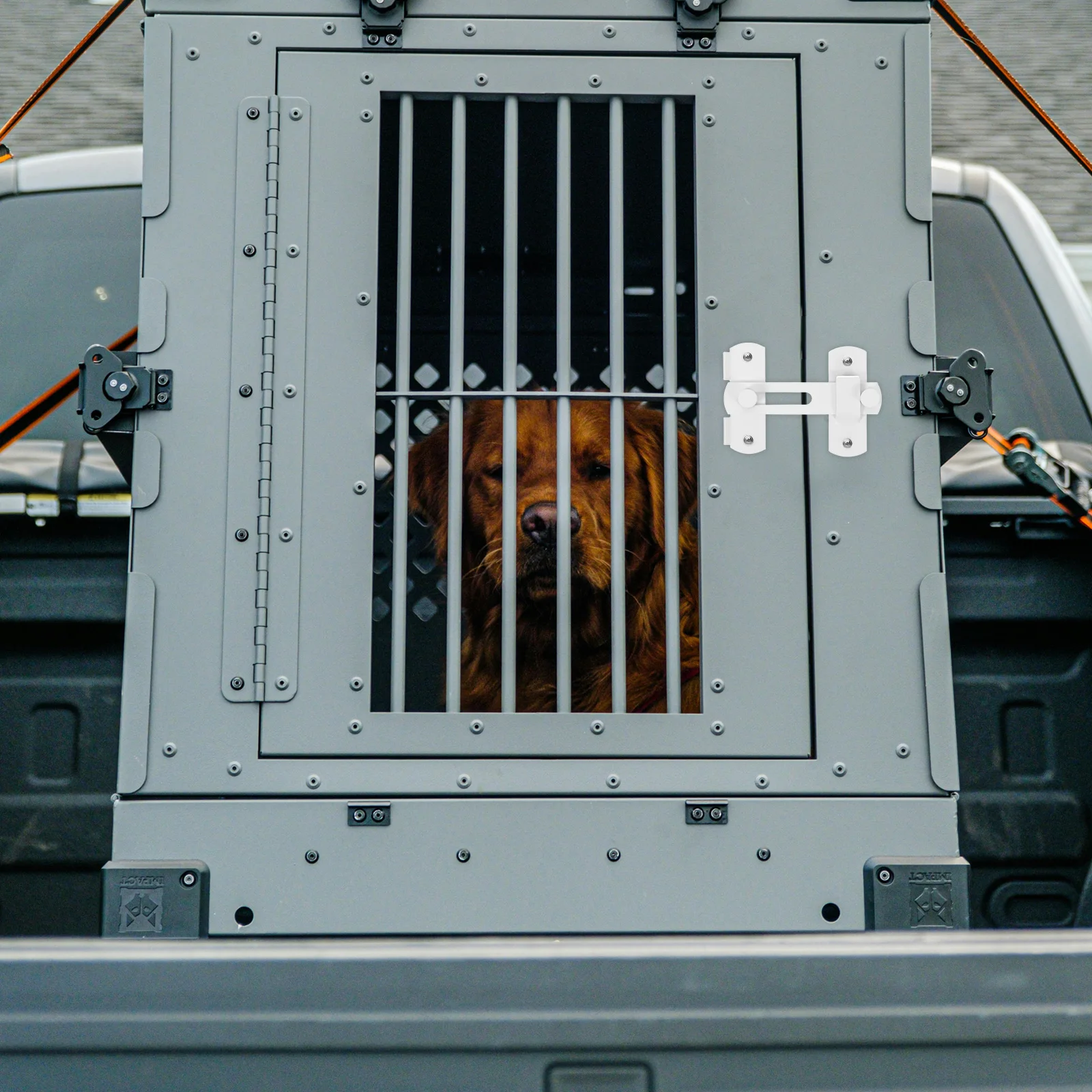 

Stainless Steel Slide Bolt Pet Heavy Duty Barn Door Latch Secure Sliding Lock Gate Latch for Fence Shed Door