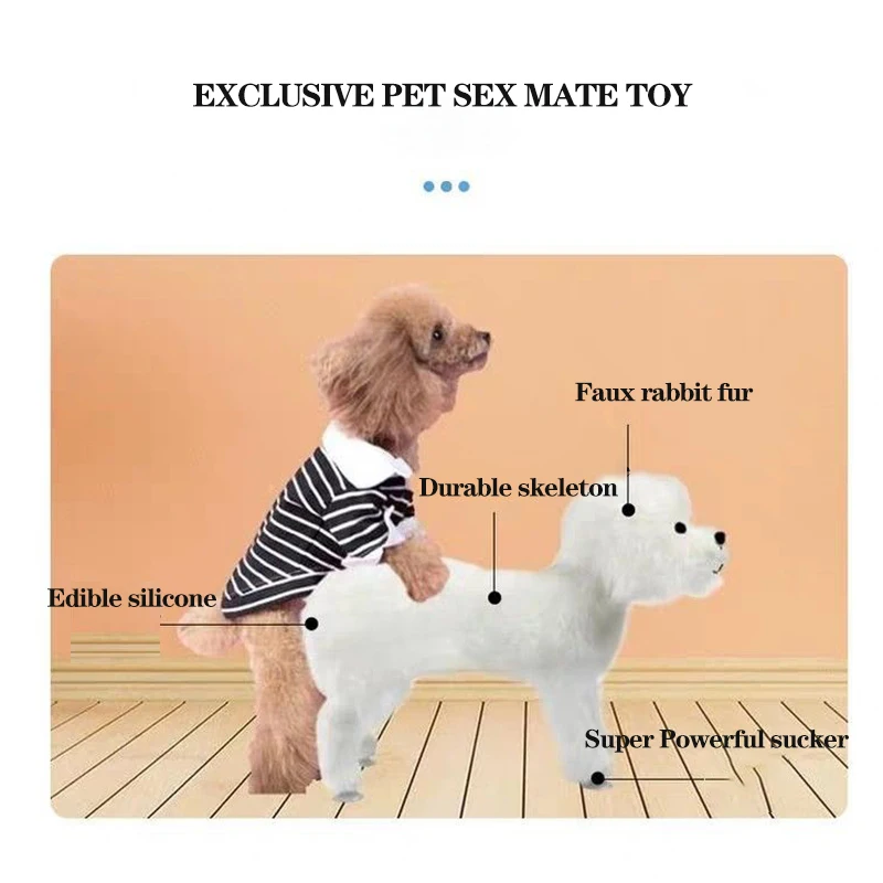 do male dogs masturbate Male Canine Sexual Behavior