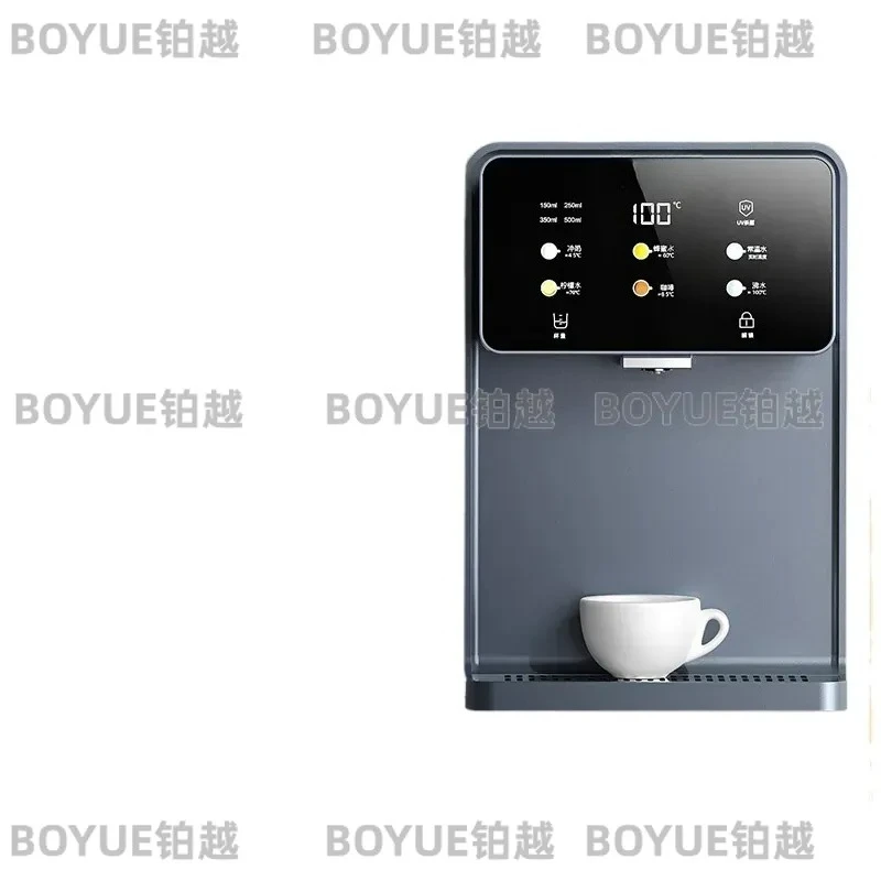 Instant Hot Water Dispenser Wall Mounted Under Sink Direct Drinking Purifier Kitchen Home Use Fast Heating Pipeline Machine
