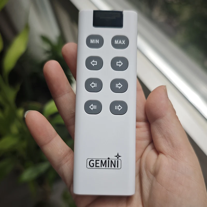 The New Sty Gemini …