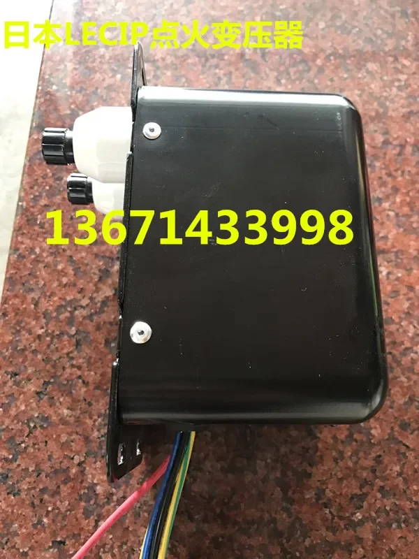 2025 G10M16-ZC Marine Boiler Ignition High Voltage Package Japan LECIP Ignition Transformer Burner High Voltage Package