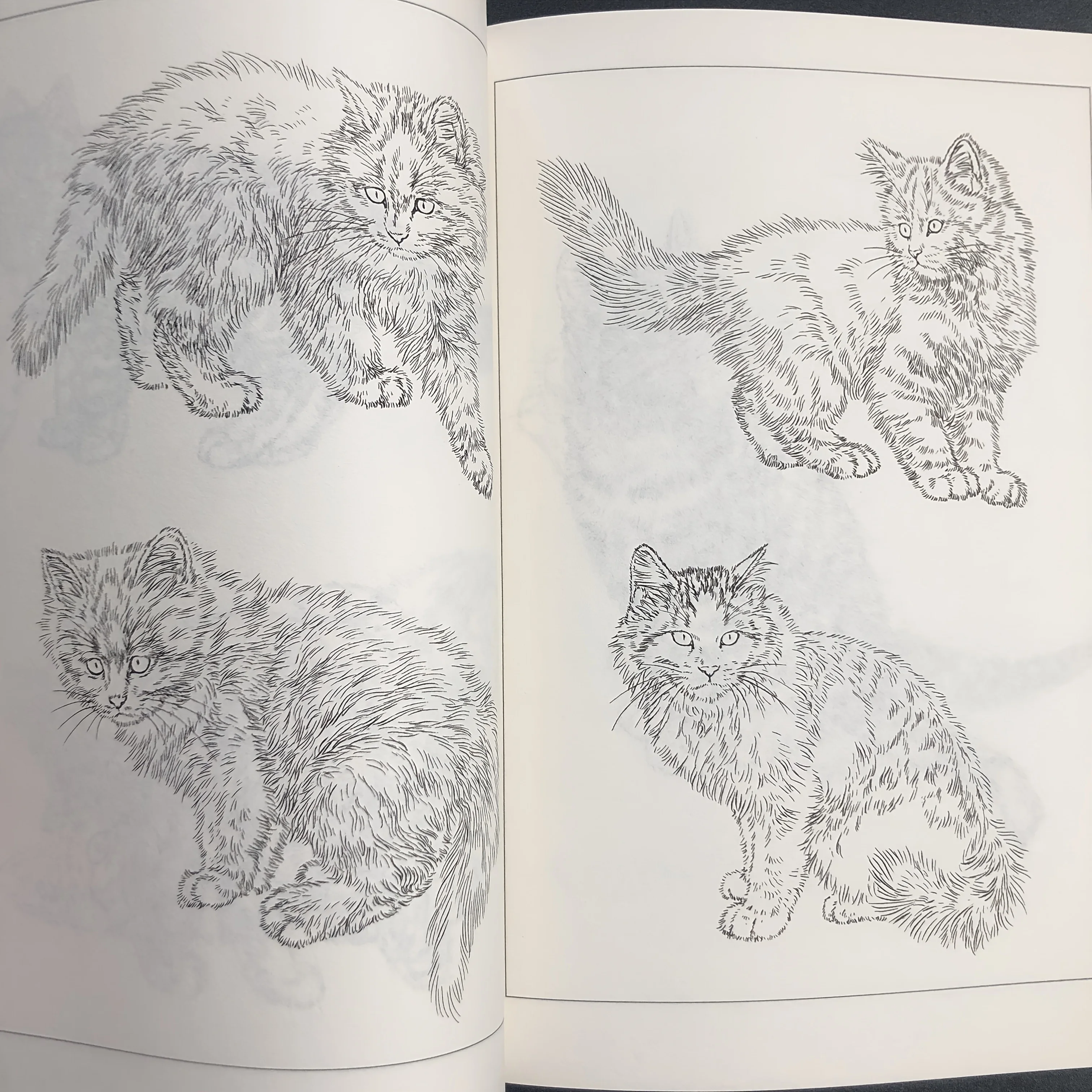 Coloring Book for Adults and Teens Featuring  with Easy and Simple Designs for Relaxation Chinese painting sketch