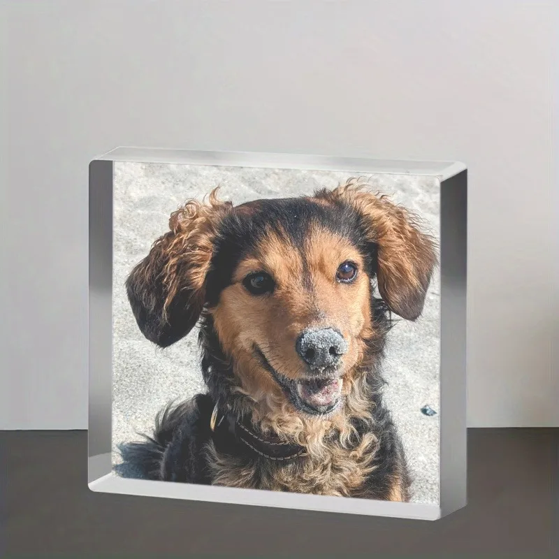1 x individuelles Acryl-Display für Haustiere |   Handgefertigtes 3D-Desktop-Andenken-Dekor |   Festliche Verzierung für das Heimbüro |   Valentinstagsgeschenk