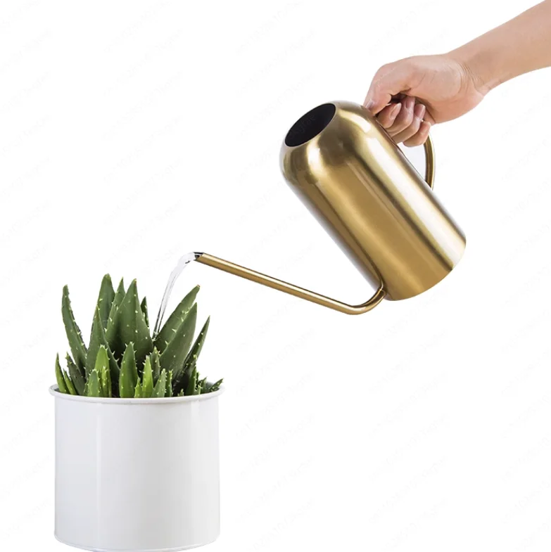 Stainless steel long nozzle flower watering kettle green plant succulent potted plant Nordic metal small watering can sprinkler