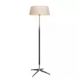 

Nordic minimalist solid wood, retro floor lamp minimalist, modern light luxury high-end living room, decorative lamp