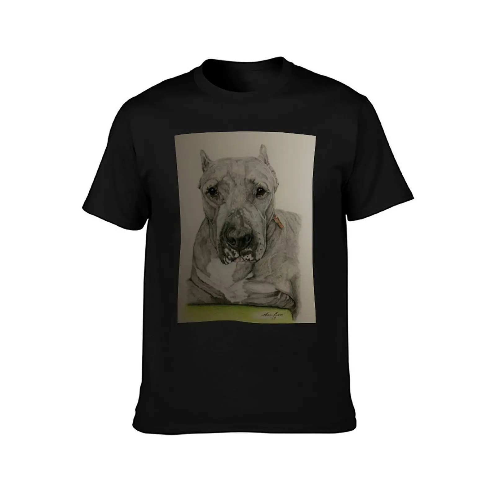 Sweet Saphire T-Shirt Big Size Simple T-Shirt