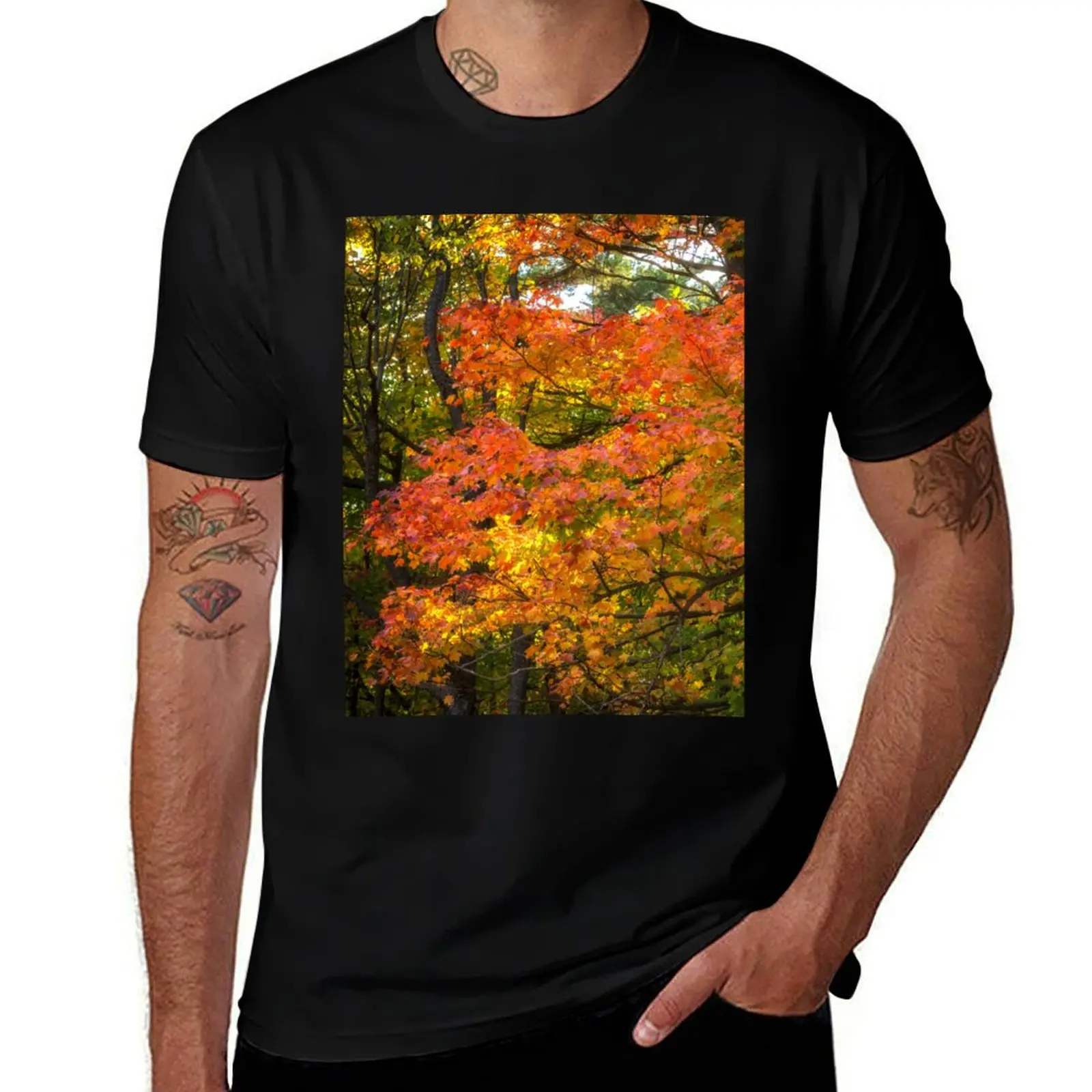 Autumn Colours - MacKenzie-King Estate T-Shirt Fashion Graphic Tee for Men
