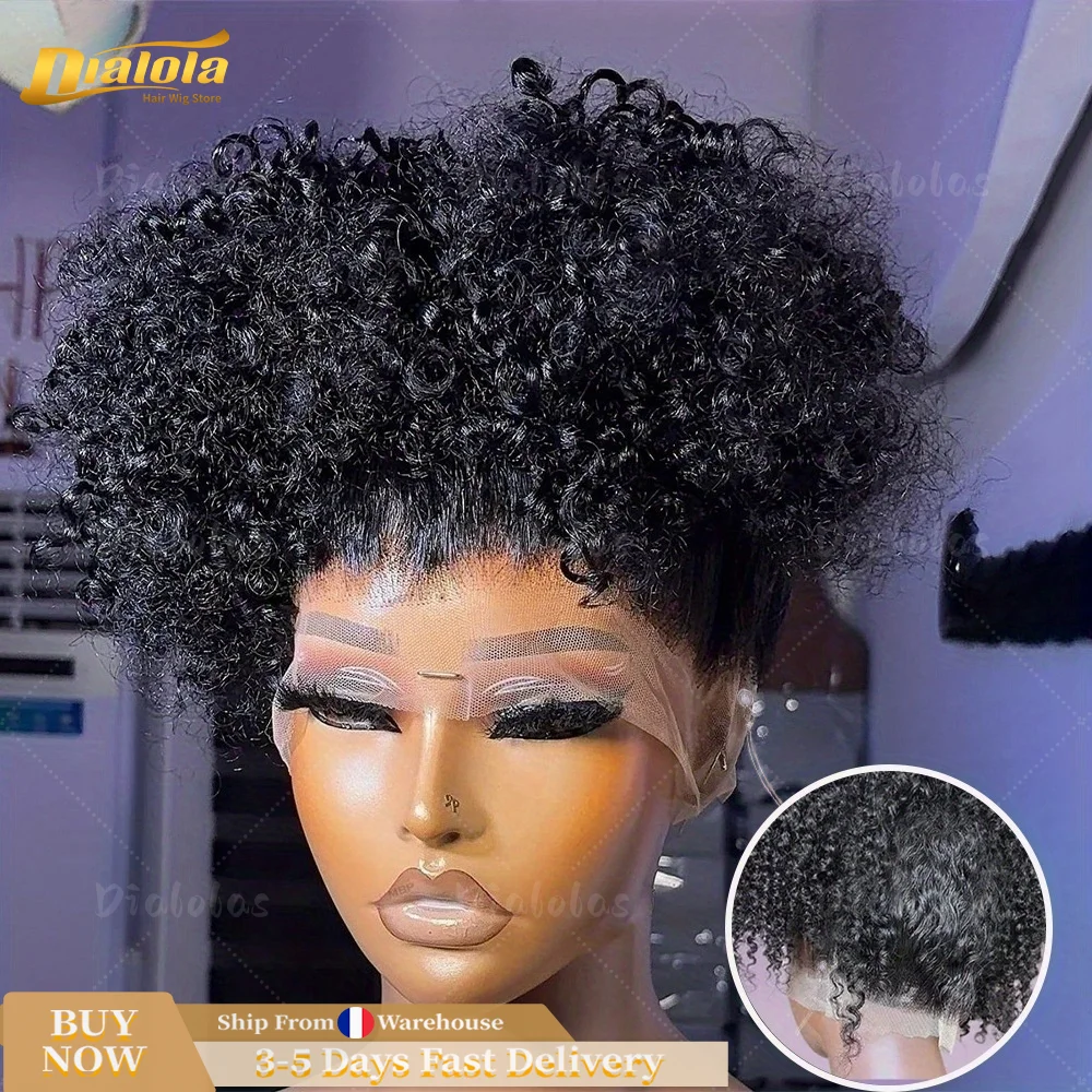 360 HD Full Lace Haarwerk van Echt Haar, Deep Water Wash, 36 Inch Krullend HD Lace Front Haarwerk voor Vrouwen met onzichtbare band, 220% Dichtheid
