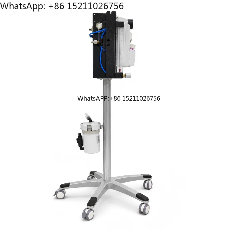 Compact Veterinary - Machine with Oxygen Supply Interface for Dogs Cats Rabbits Animal Hospital
